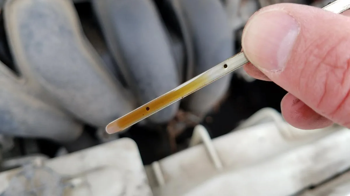 Corolla dipstick oil level check