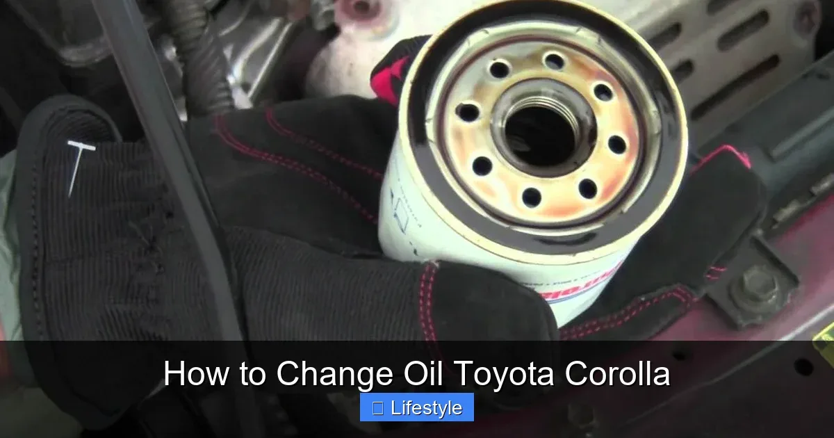 oil change tools and parts kit