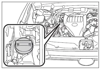 2013 toyota highlander oil capacity
