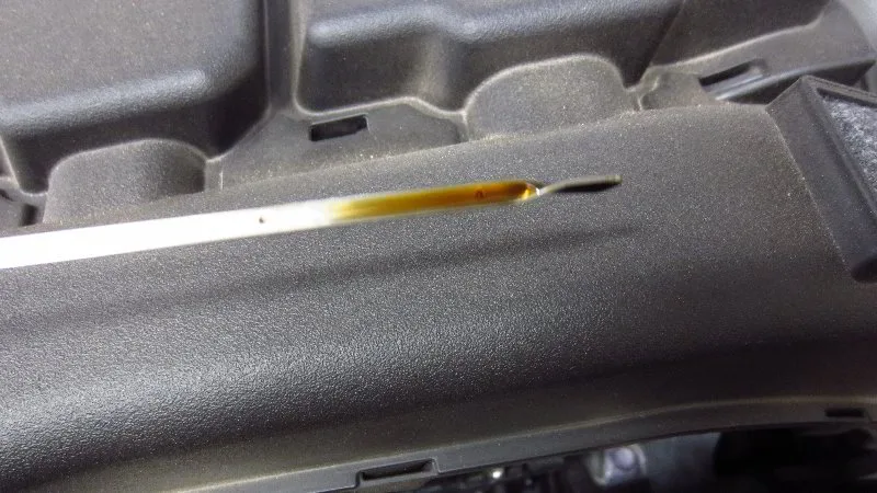 2019 Toyota RAV4 oil capacity