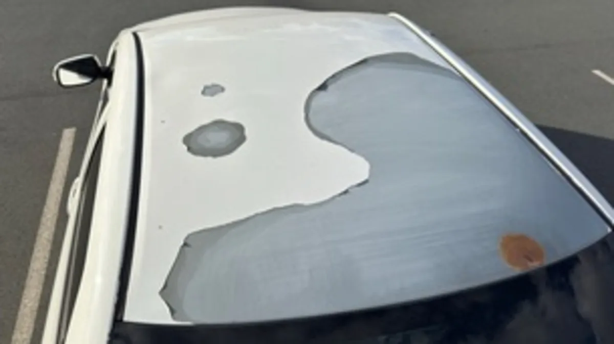 2022 Corolla Cross clearcoat paint peel