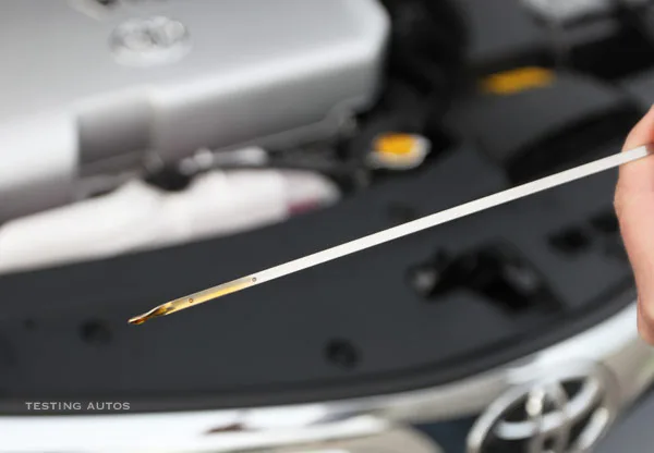engine oil dipstick reading level