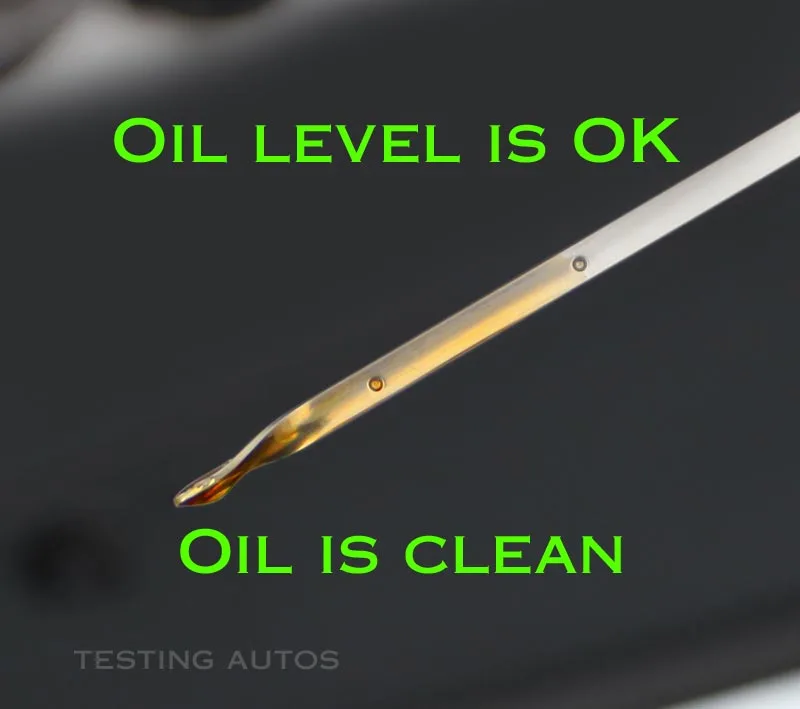 overfilled oil dipstick