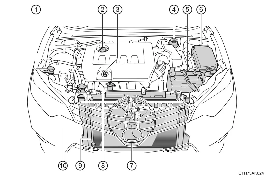 toyota corolla oil capacity