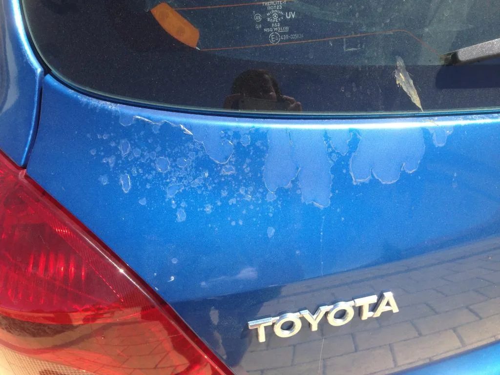 toyota paint problems class action lawsuit